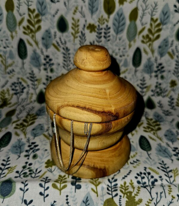 Whimsical Wooden Trinket Box